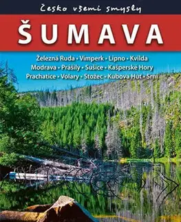 Slovensko a Česká republika Šumava - Česko všemi smysly - Vladimír Soukup,David Petr