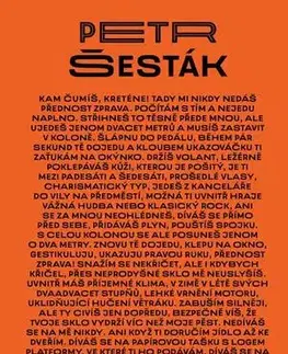 Česká beletria Vyhoření - Petr Šesták