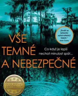 Detektívky, trilery, horory Vše temné a nebezpečné - Stacy Willingham