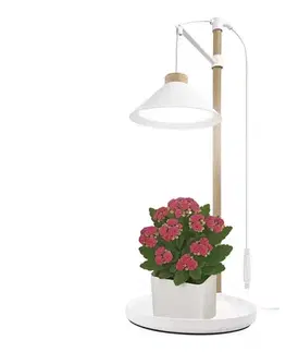 Lampy  LED interiérová lampa na pestovanie rastlín GROW LED/7W/5V Z7905