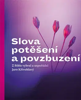 Duchovný rozvoj Slova potěšení a povzbuzení, 2. vydání - Jaro Křivohlavý
