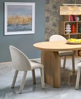 Jedálenské zostavy Jedálenská stolička K598 Halmar