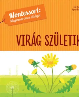 Leporelá, krabičky, puzzle knihy Virág születik - Montessori: Megismerem a világot - Chiara Piroddi