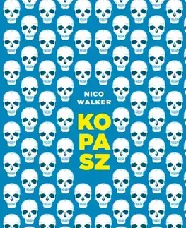 Svetová beletria Kopasz - Nico Walker