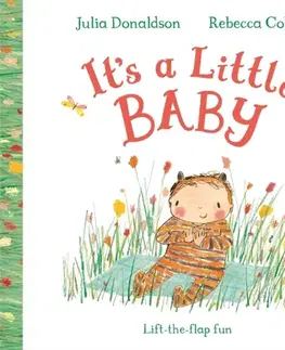 Leporelá, krabičky, puzzle knihy It's a Little Baby - Julia Donaldson