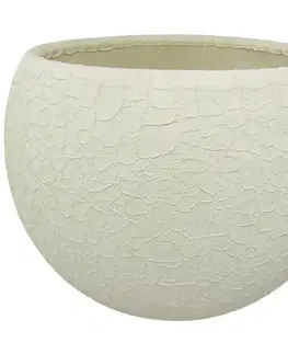 Záhrada Obal guľa Lizard 17 cm krémová