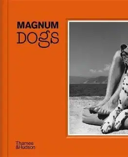 Fotografia Magnum Dogs - Magnum Photos