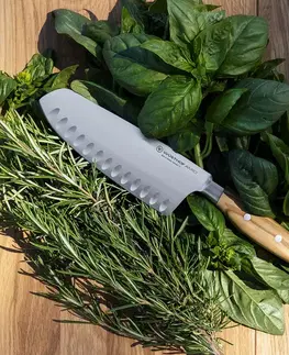 Nože do kuchyne Santoku WÜSTHOF Nôž santoku Wüsthof Amici 17 cm