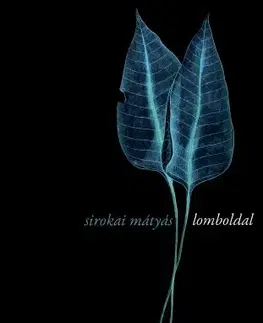 Svetová beletria Lomboldal - Mátyás Sirokai