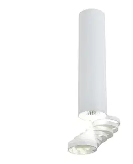 Svietidlá  Prisadený luster TUBA 1xGU10/50W/230V biela 2282756