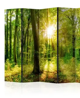 Paravány Paraván Forest Rays Dekorhome