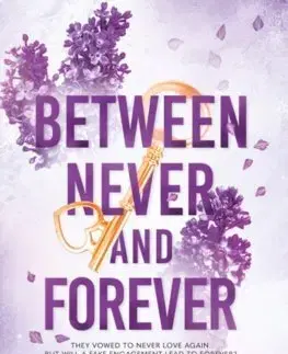 Romantická beletria Between Never and Forever - Shain Rose