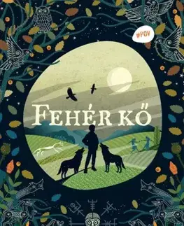 Sci-fi a fantasy Fehér kő - Finbar Hawkins