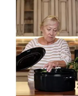 Pokrievky Sfinx Smaltovaná pokrievka Gastro, 48 cm, 48 cm