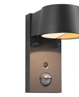LED osvetlenie Paulmann 94714 - LED/6W IP44 Vonkajšie nástenné svietidlo so senzorom CAPERA 230V 94714