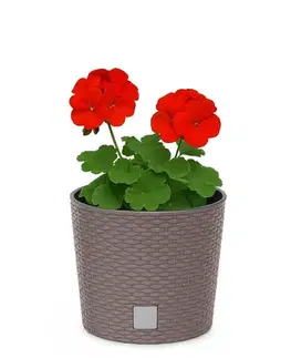 Záhradné kvetináče ProsperPlast Kvetináč RATO ROUND s vkladom | mocca 40 cm