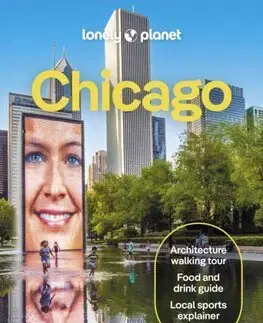 Amerika Lonely Planet Chicago