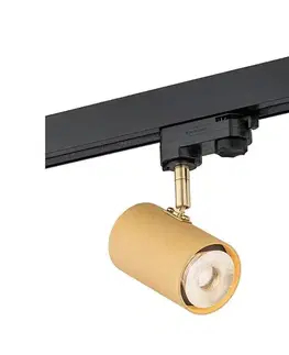 Svietidlá Argon 4323 - LED Bodové svietidlo do lištového systému HAGA LED/9W/230V zlatá 4323