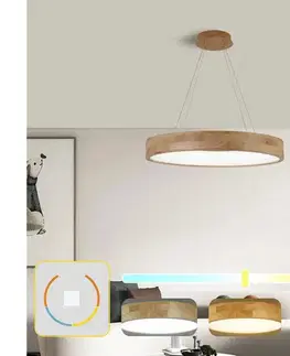 Svietidlá BRILAGI - LED závesný luster na lankách FALCON WOOD LED/40W/230V 3000/4000/6000K 60 cm drevo BRI534