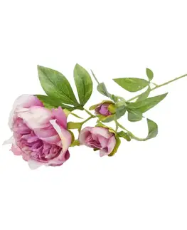 Záhradné dekorácie Peonia 59cm cyklámenová A2010574