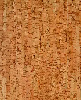 Wise cork inspire AMORIM WICANDERS Wise cork inspire Traces spice 80003478