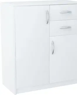 Komody a skrinky  ANES komoda 2D2S, biela
