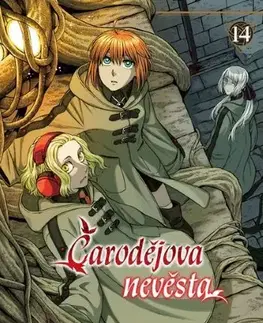 Manga Čarodějova nevěsta 14 - Kore Jamazaki