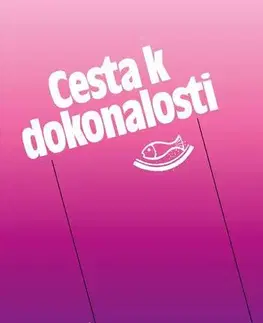 Náboženstvo - ostatné Cesta k dokonalosti - Květoslav Minařík