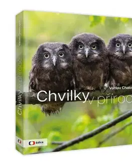Beletria - ostatné Chvilky v přírodě - Václav Chaloupek