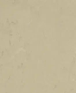 Marmoleum solid concrete FORBO Marmoleum solid concrete Titan 3761