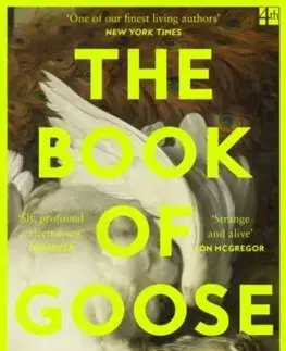 Svetová beletria The Book of Goose - Yiyun Li