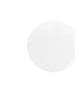 LED osvetlenie  LED Vonkajšie stropné svietidlo NELA LED/20W/230V IP44 WCL19R-20W/LED