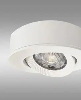 Lampy do predsiene Stropné svietidlo TR-14DL 5W LED biele
