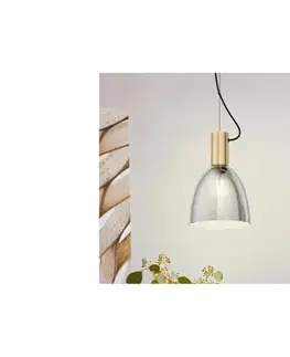 Svietidlá Eglo 99313 - Závesný luster na lanku LEBALIO 1xE27/40W/230V 99313