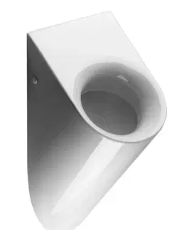 Pisoáre GSI - COUNITY urinál so zakrytým prívodom vody, 31x61 cm, biela ExtraGlaze 769711