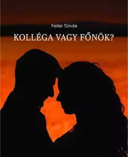 Romantická beletria Kolléga vagy főnök? - Feiler Tünde