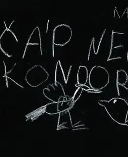 Humor a satira Radůza records Čáp nejni kondor