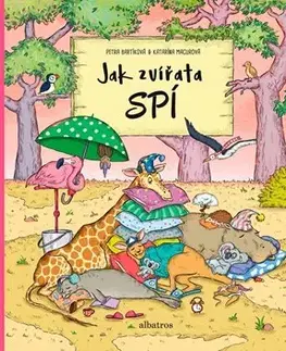 Pre najmenších Jak zvířata spí - Petra Bartíková,Katarína Macurová
