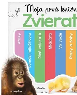 Leporelá, krabičky, puzzle knihy Moja prvá knižnica. Zvieratá - Kolektív autorov