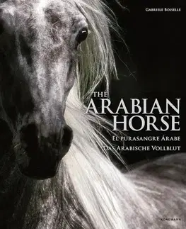 Fotografia The Arabian Horse - Gabrielle Boiselle