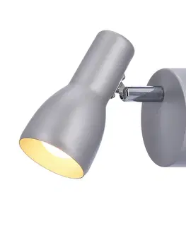 Nástenné svetlá Nástenná lampa Picardo E14 sivo-strieborná