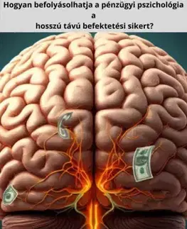 Financie, finančný trh, investovanie Hogyan befolyásolhatja a pénzügyi pszichológia a hosszú távú befektetési sikert? - Max Editorial