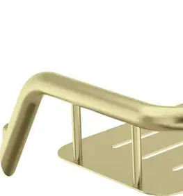 Doplnky do kúpeľne DEANTE - Silia brúsené zlato Sprchový kôš ADI_R551
