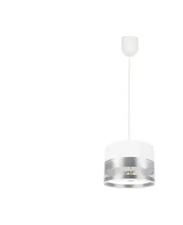 Svietidlá  Luster na lanku MILO 1xE27/60W/230V strieborná 0335