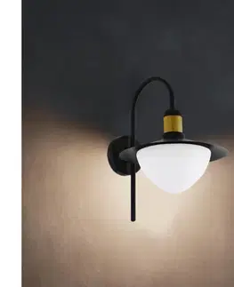 Záhradné lampy Eglo 97285 - Vonkajšie nástenné svietidlo SIRMIONE 1xE27/60W/230V 97285