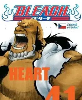 Manga Bleach 41: Heart - Kubo Tite,Anna Křivánková
