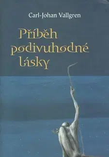 Historické romány Příběh podivuhodné lásky - Carl-Johan Vallgren,Zbyněk Černík