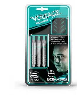 Šípky Target Rob Cross Silver Voltage Steel 3ks 24 g