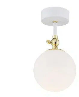 Svietidlá Argon 4002 - Kúpeľňové prisadené stropné svietidlo LATINA 1xE14/7W/230V IP44 biela/zlatá 4002