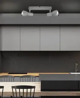 Stropná svetla Nástenná stropná lampa strieborný pásik 2x40W Picardo